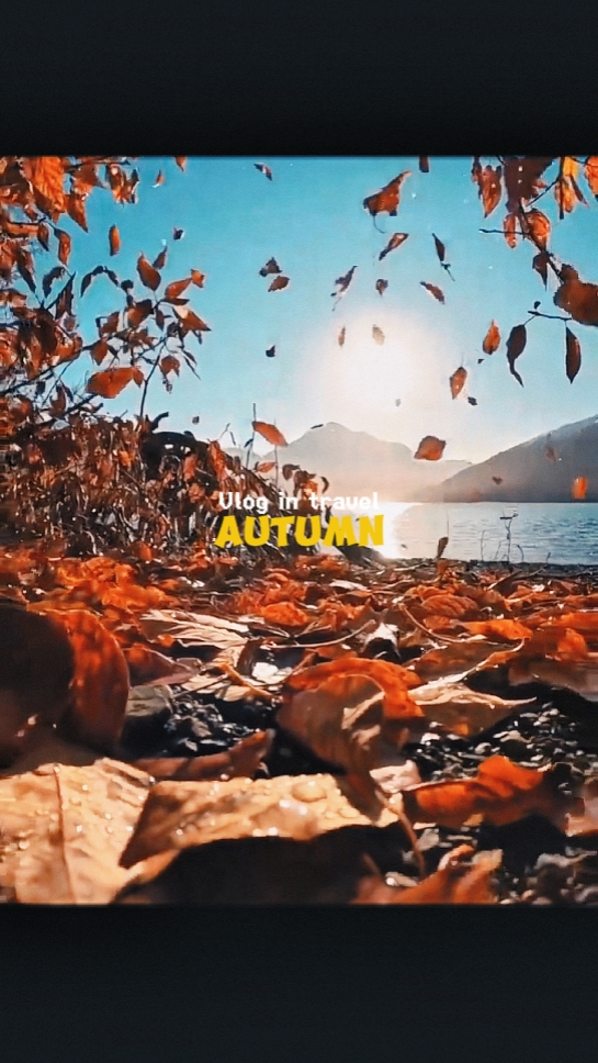 140/10 Autumn vlog