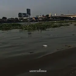 แค่ใครคนหนึ่ง