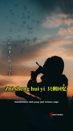 只剩回忆 
Zhi sheng hui 