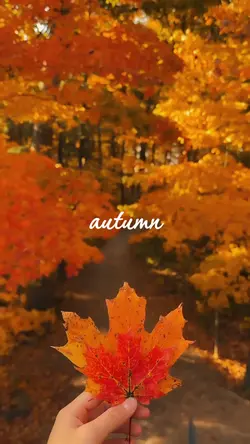 I am an autumn