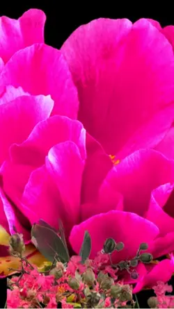 September 21 morning