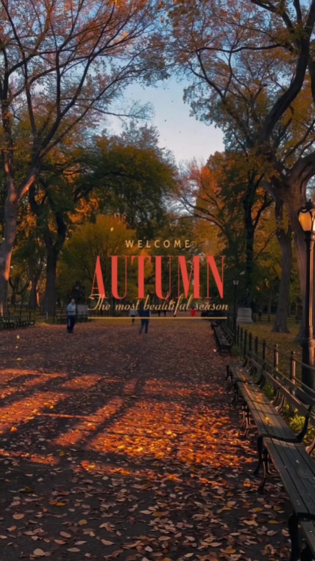 welcome autumn  