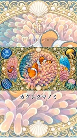 カクレクマノノミ