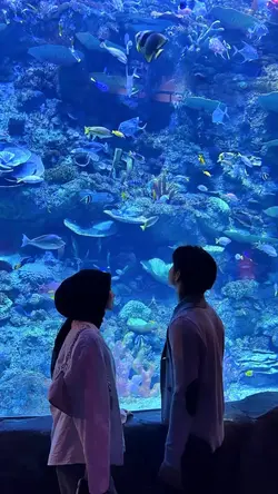 tak sadar ku temukan