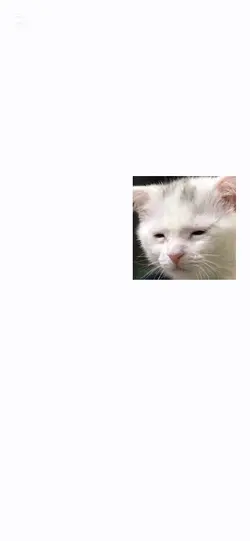 과목별 나 특