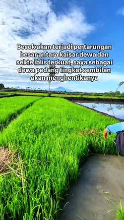 dewa pedang tinkat 9