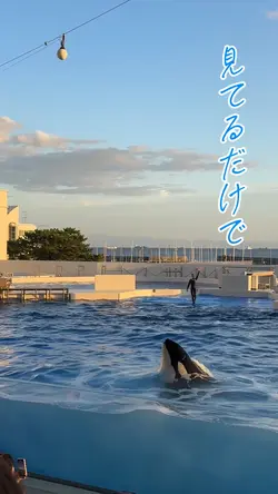 水族館テンプレート