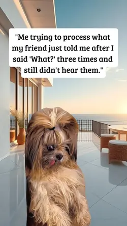 didn't hear