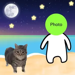 OIIA CAT BLUE YUNG K