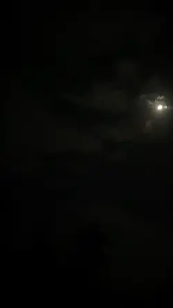 virus