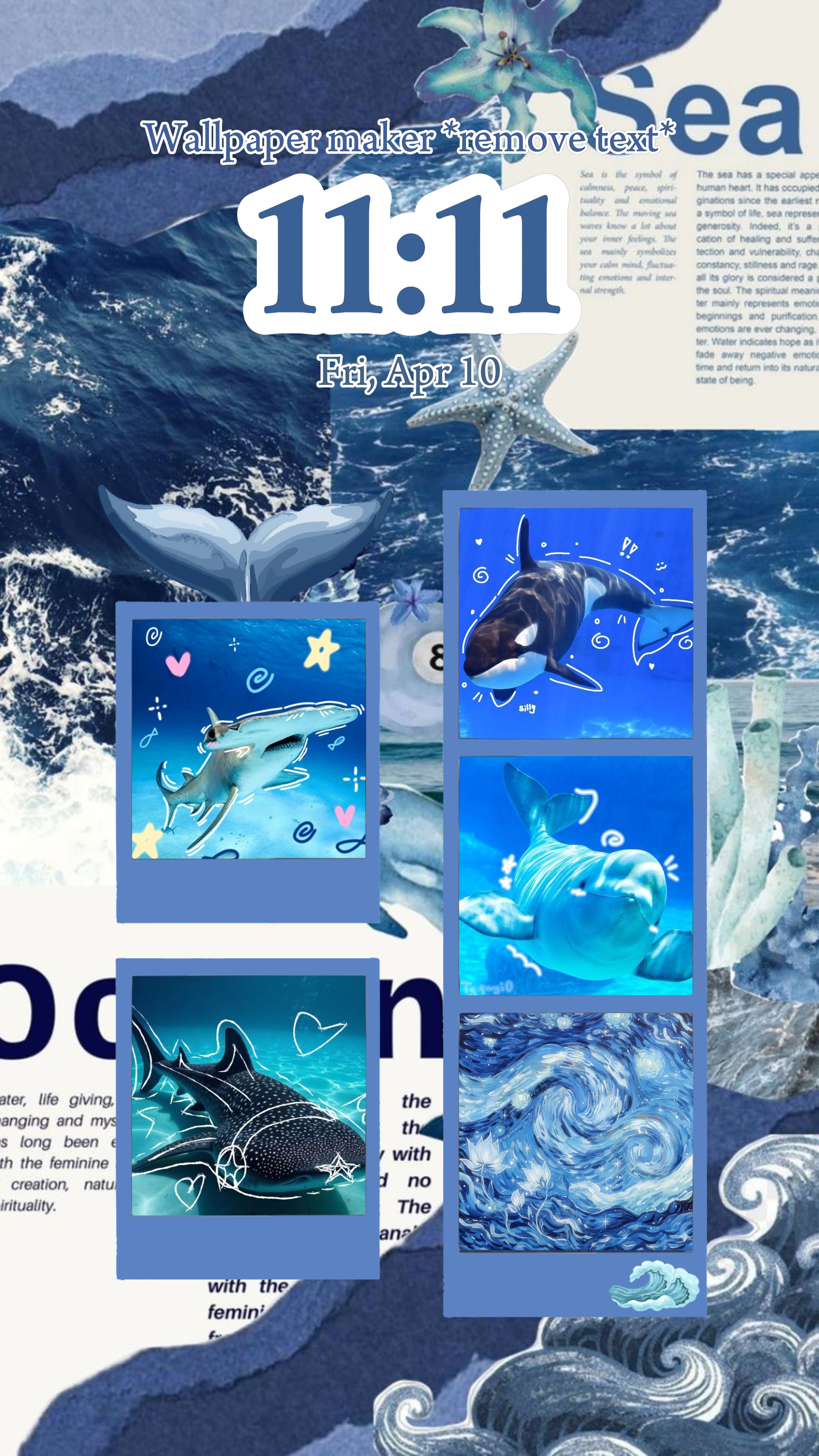 Cover Picture