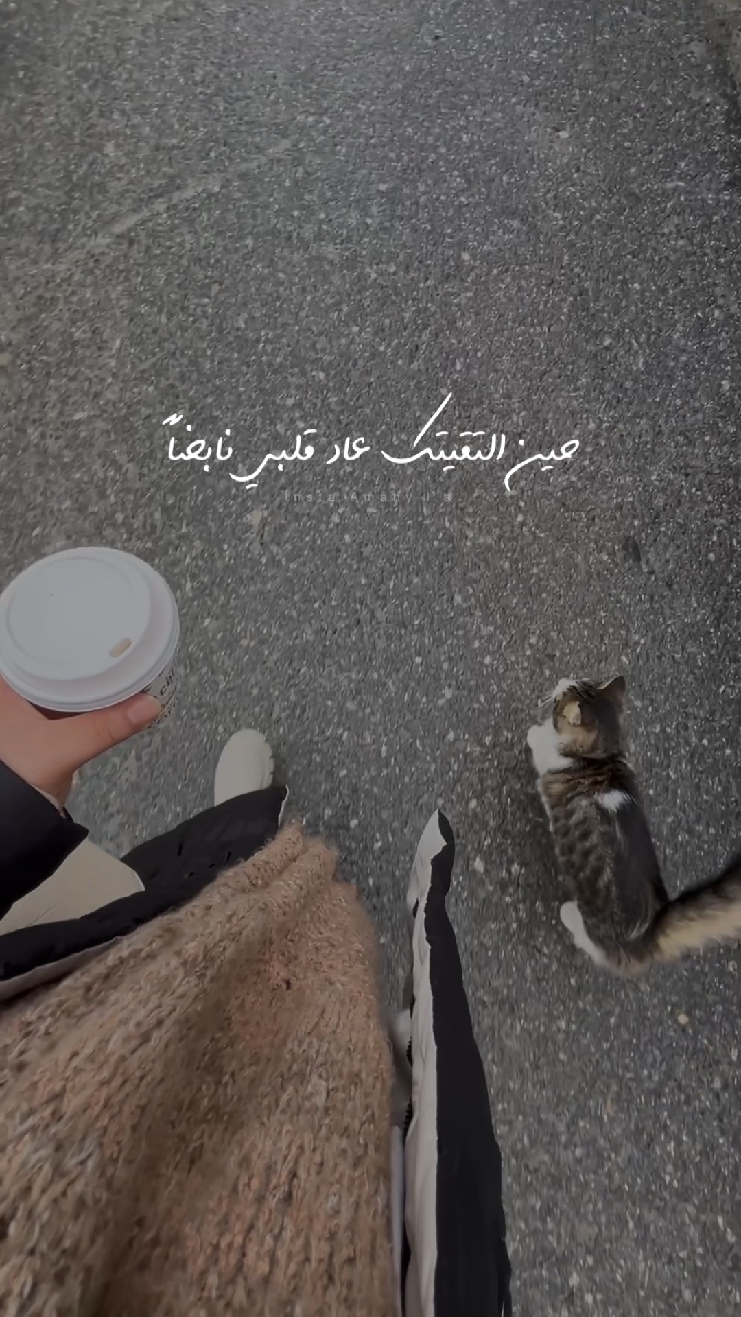 حين التقيتك ❤️🫶🏻