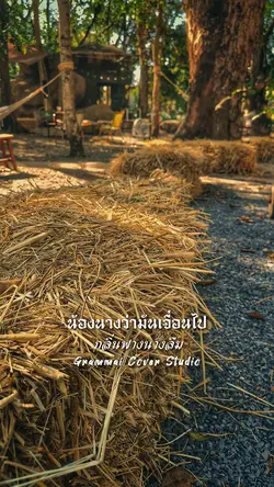 กลิ่นฟางนางลืม