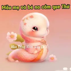 Mẫu Săn Bé Na up str