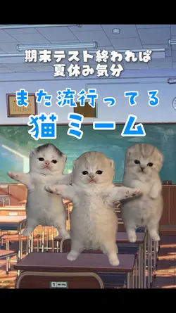 🐱猫ミーム🐱