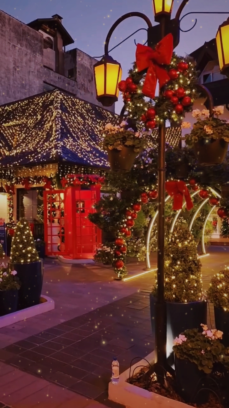 Volcado navideño
