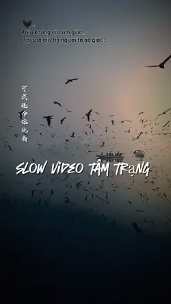 Mẫu slow video
