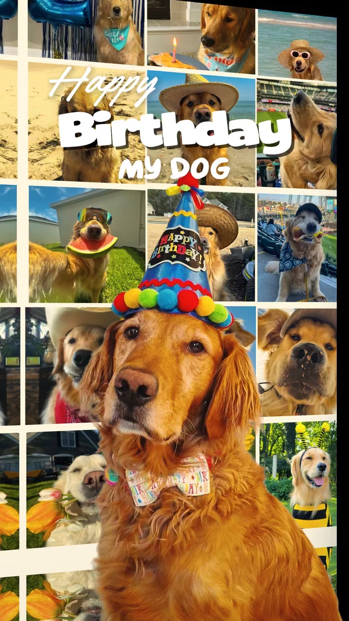 Birthday my dog