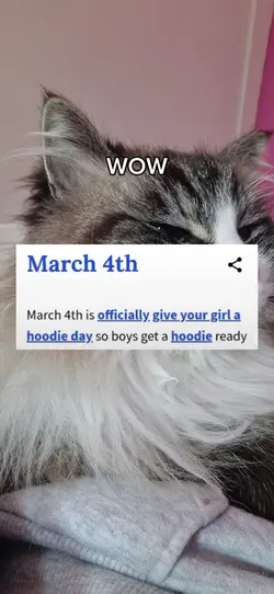 march 4th