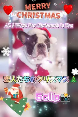 恋人たちのクリスマス