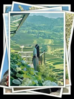 8Pic Clip Transition