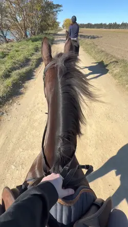 3 clip slowmo!💗