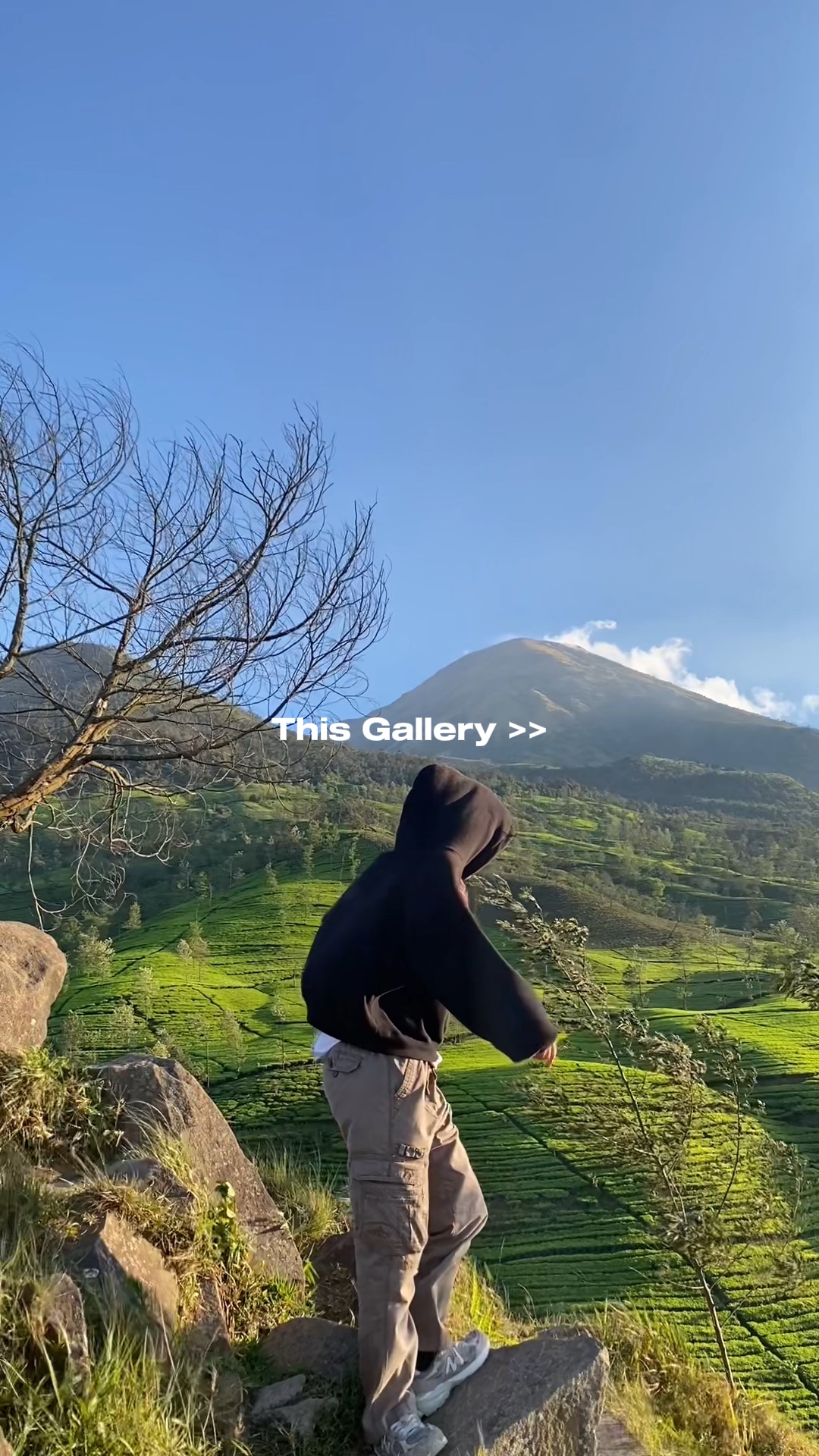 Cette galerie