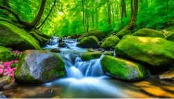 瞑想　ヒーリング　癒し　睡眠用