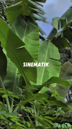 Disana panik? 
