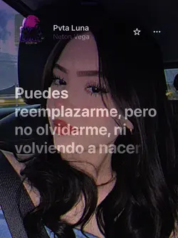 PVTA LUNA NETON VEGA