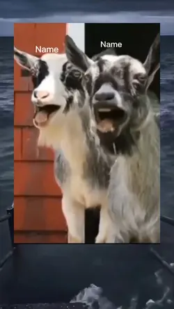 Laughing a 2 friends