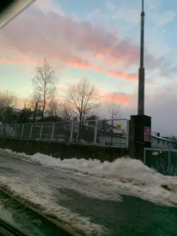 Fell in love with B😻