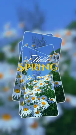 HELLO SPRING