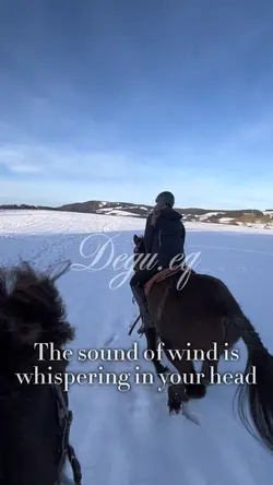 This song 😍😍😍