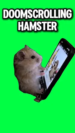 HAMSTER DOOMSCROLLS