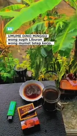 HD+STORY MINGGU