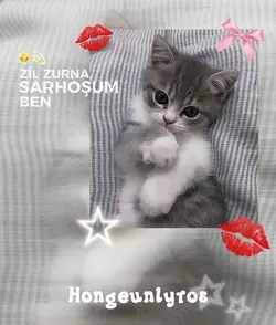 Kediiiyyyyyy