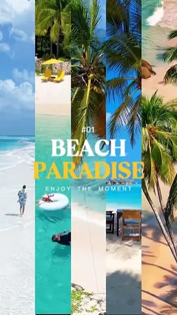Beach Paradise