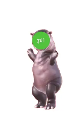 หมูเด้งเต้น-Modengdance