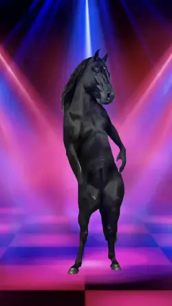 Discothèque