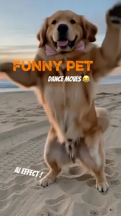 Funny pet dance ๐