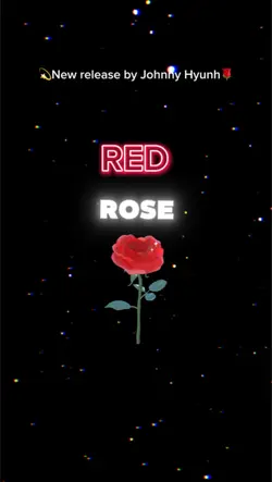 RED ROSE 🌹💫💔