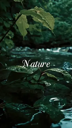 nature cinematic
