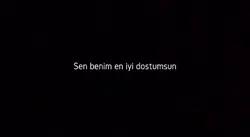 Viral şablon