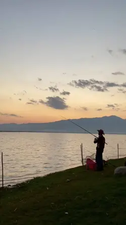 🌅✨