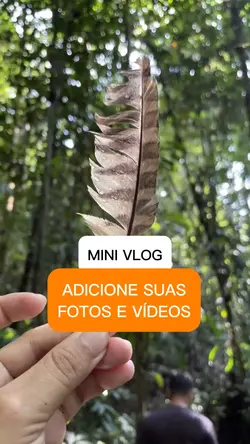 Mini Vlog 