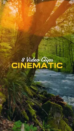 8 Video Clips
