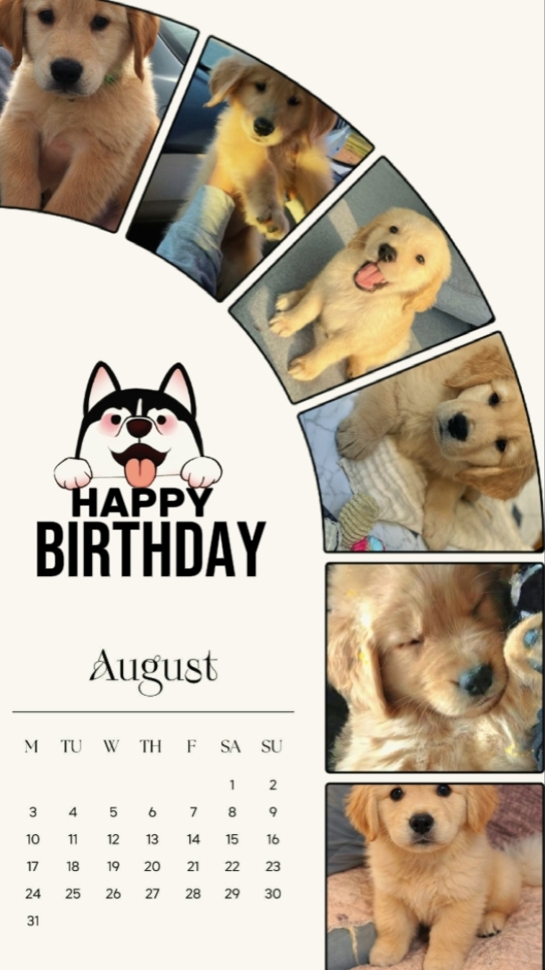 BIRTHDAY