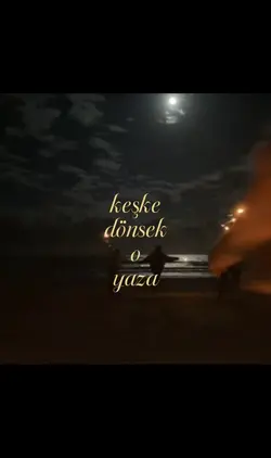 sestelifyediaglcam