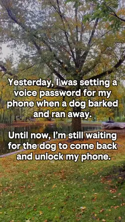 Yesterday, I was sit